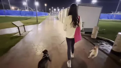 出来遛狗没穿内裤直接拉进厕所
